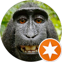 Laurent Diez profile picture